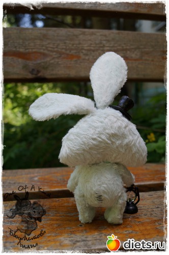 15 ����: ��� ���������