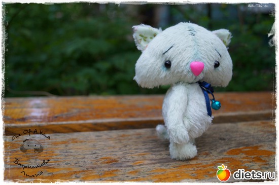 17 ����: ��� ���������