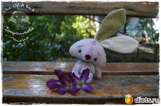 23 ����: ��� ���������