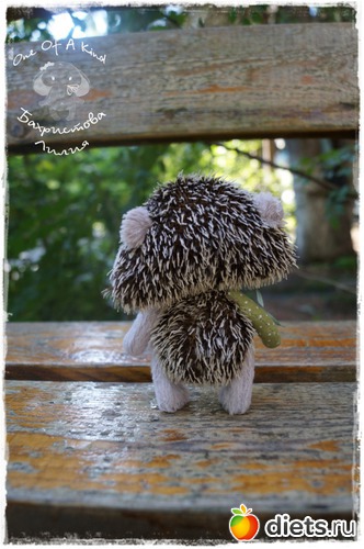 26 ����: ��� ���������