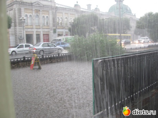 ������., ������: ���� 2013�. ������ ����� ��������.����� ��� ������� ����.