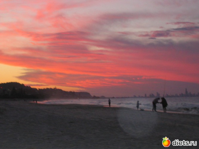 1 ����: ����������� � ����� ��������