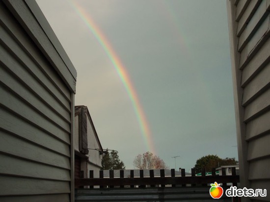 2 ����: ����������� � ����� ��������