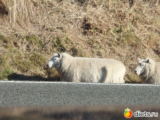 4 ����: ����������� � ����� ��������