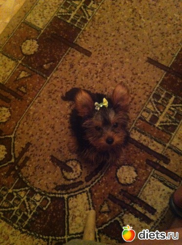 ��� ����)), ������: � ������