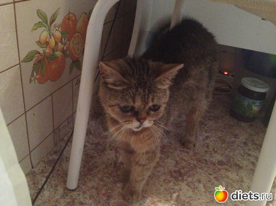 3 ����: �������� ���� - ����