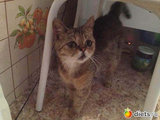 4 ����: �������� ���� - ����