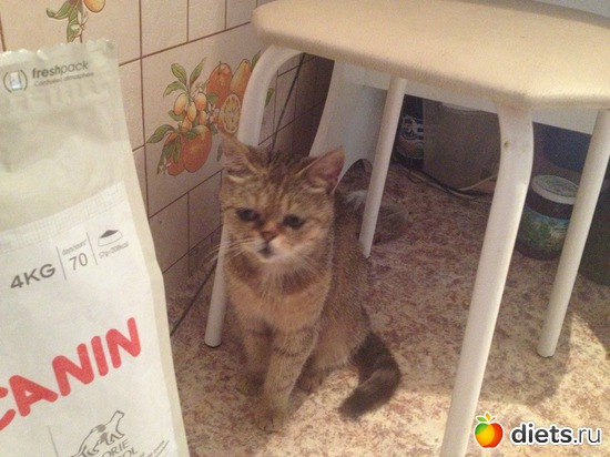 5 ����: �������� ���� - ����