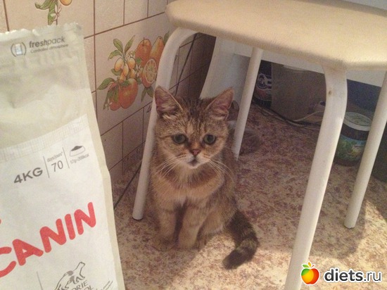 6 ����: �������� ���� - ����