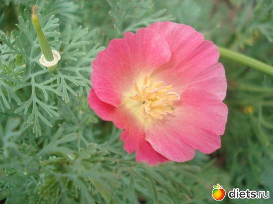 13 ����: �����