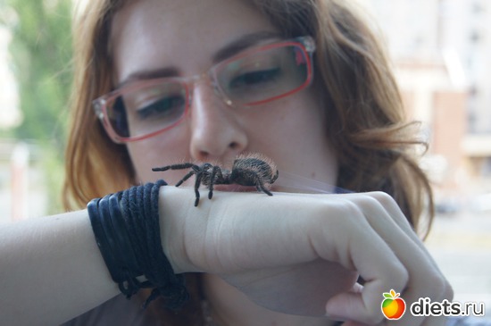 ���� ��������� �������� )), ������: �� �����