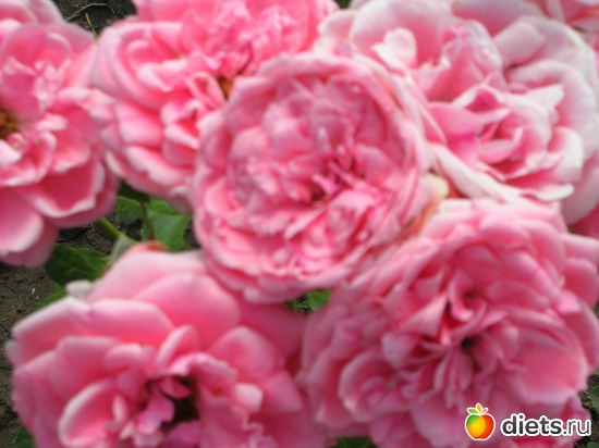 2 ����: �����