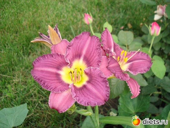 3 ����: �����