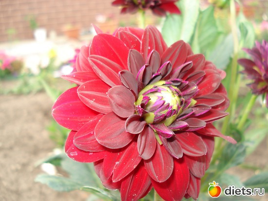 5 ����: �����