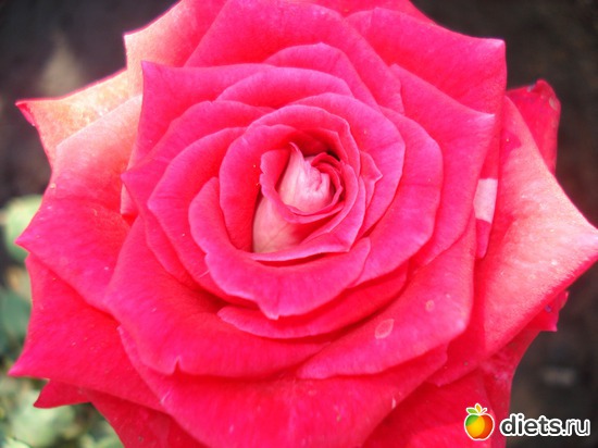 6 ����: �����