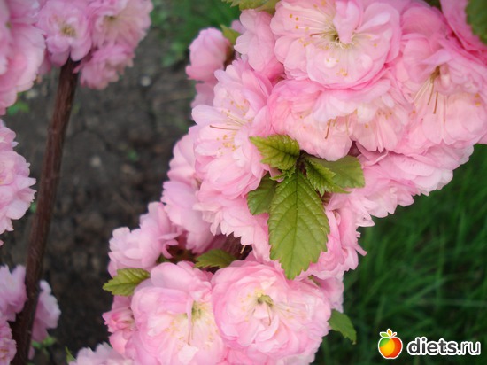 7 ����: �����