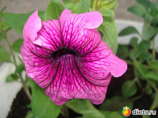 8 ����: �����