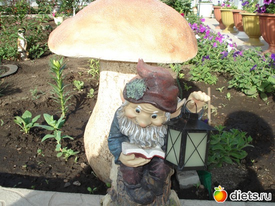 9 ����: �����