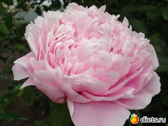 11 ����: �����