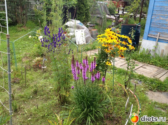 2 ����: ������ ����