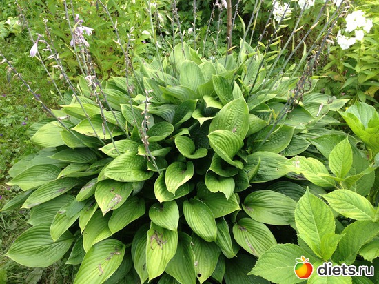 4 ����: ������ ����