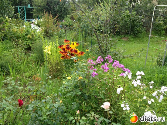 17 ����: ������ ����