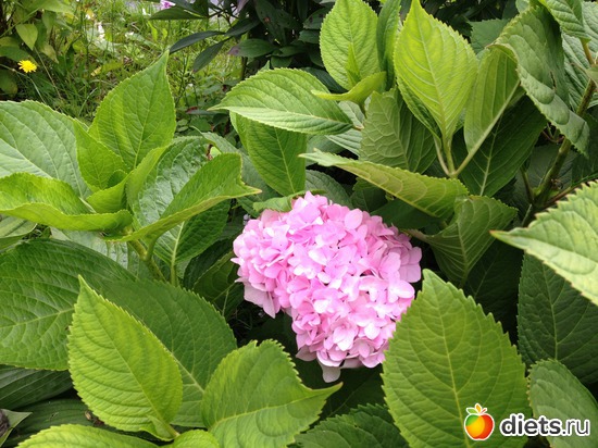 18 ����: ������ ����