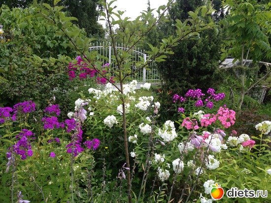 19 ����: ������ ����