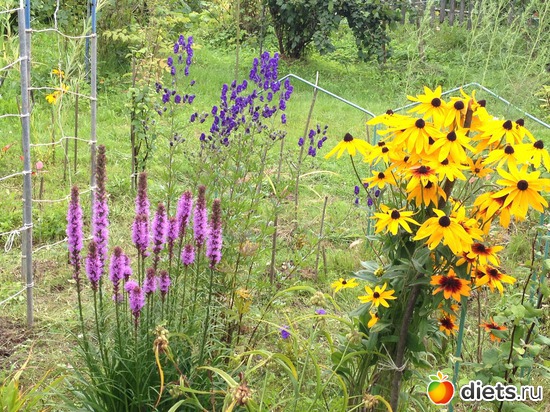 22 ����: ������ ����