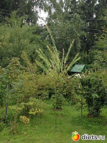 8 ����: ������ ����