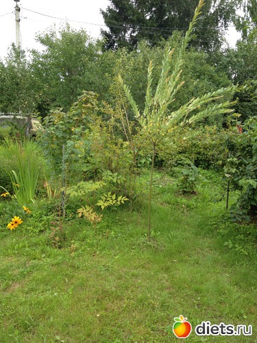 9 ����: ������ ����