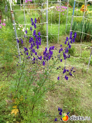 10 ����: ������ ����