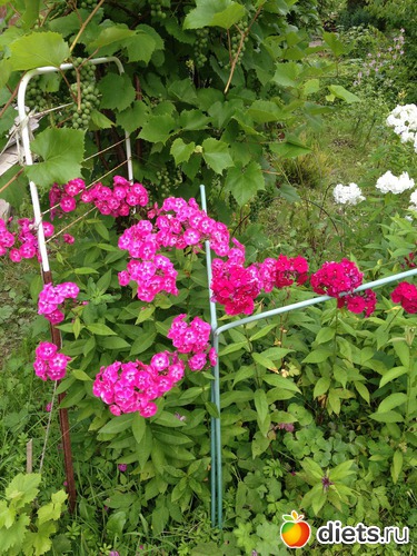 11 ����: ������ ����