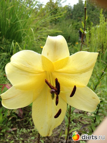 13 ����: ������ ����