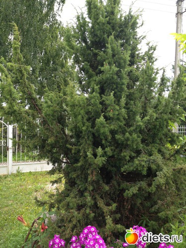 14 ����: ������ ����