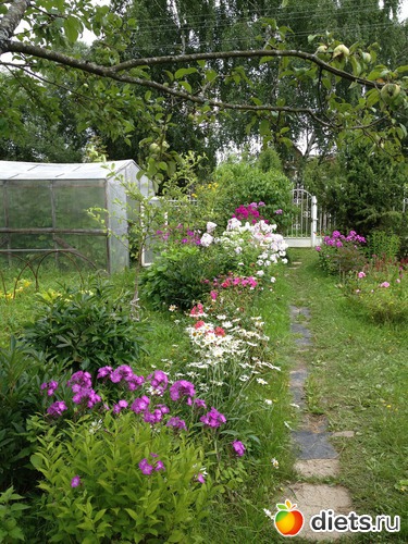 16 ����: ������ ����