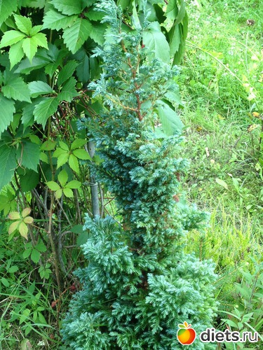 21 ����: ������ ����