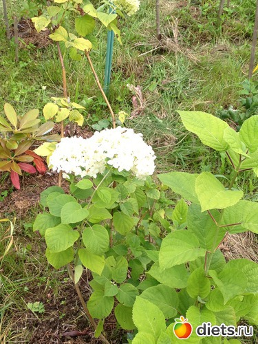 23 ����: ������ ����