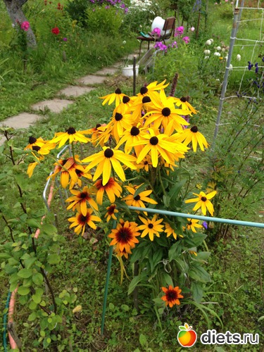 24 ����: ������ ����