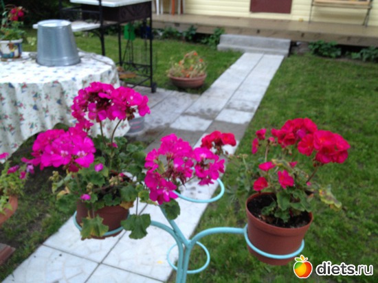 43 ����: ��� ����