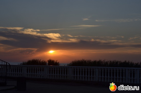 9 ����: ���� 2013