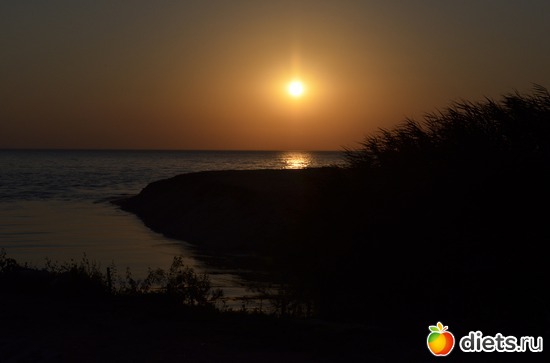 12 ����: ���� 2013