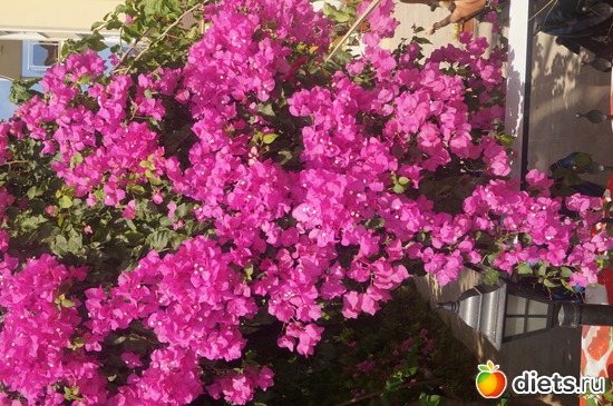 8 ����: ������ 2013 ������.