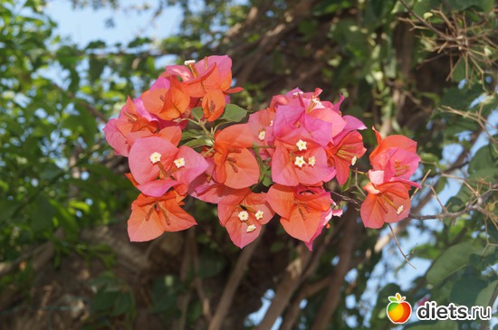 10 ����: ������ 2013 ������.