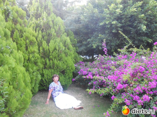 17 ����: ������ 2013 ������.