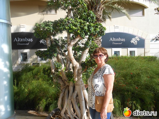 20 ����: ������ 2013 ������.