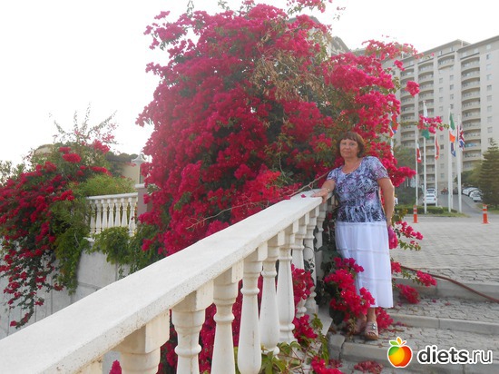 21 ����: ������ 2013 ������.