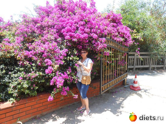 22 ����: ������ 2013 ������.