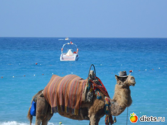 25 ����: ������ 2013 ������.