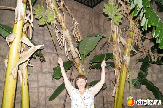 3 ����: ������ 2013 ������.